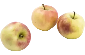 Appels gevangenisfruit